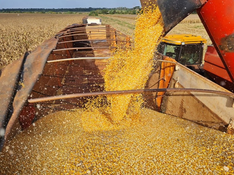 Agroindústria: Headhunting & Recrutamento e Seleção