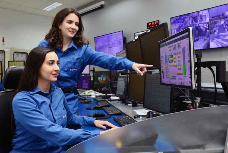 A Influência da Língua Inglesa na Formação Profissional