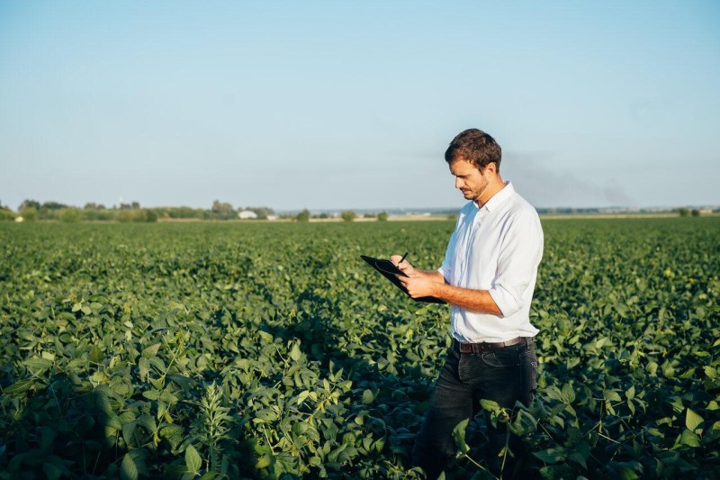 Consultoria de Recrutamento Especializado no Agronegócio