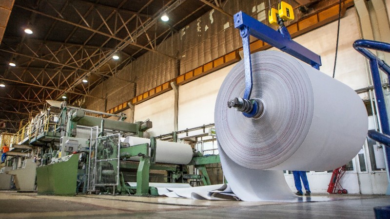 .A indústria de papel e celulose é um setor fundamental