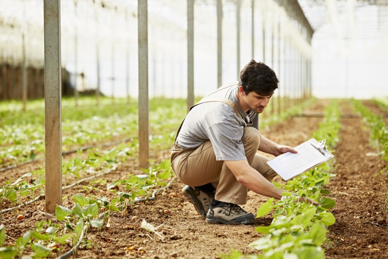 10 Recruitment Companies for the agribusiness sector