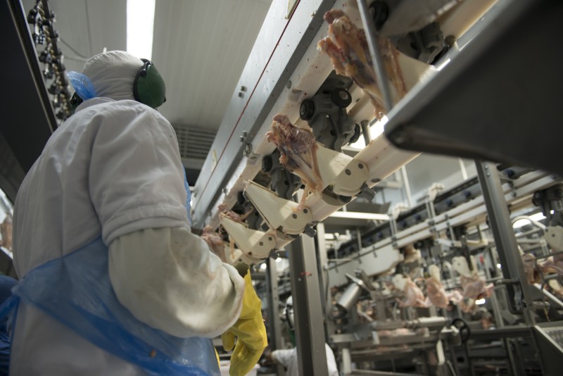 10 Gigante do Prato Brasileiro