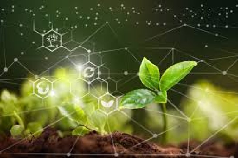 Como está o mercado de trabalho no agronegócio?