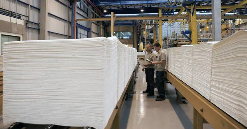 A Indústria de Papel e Celulose no Brasil em 2025