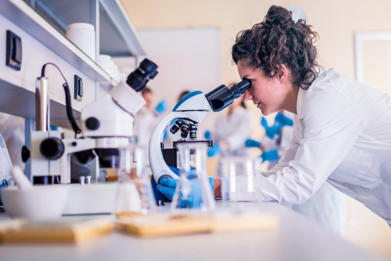 Estratégias de  Atração e Retenção no Setor Farmacêutico