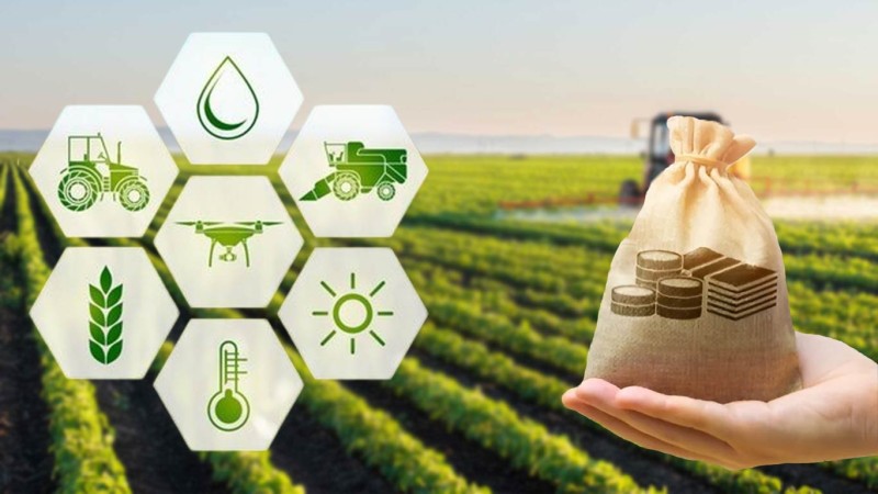 Agribusiness - Headhunter Especializado Fale com a Gente