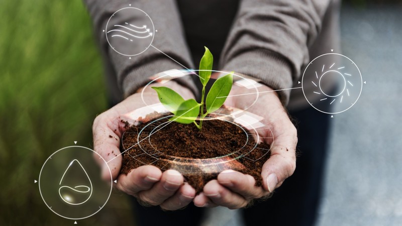 Empresa de Recrutamento e Seleção para o Agronegócio.