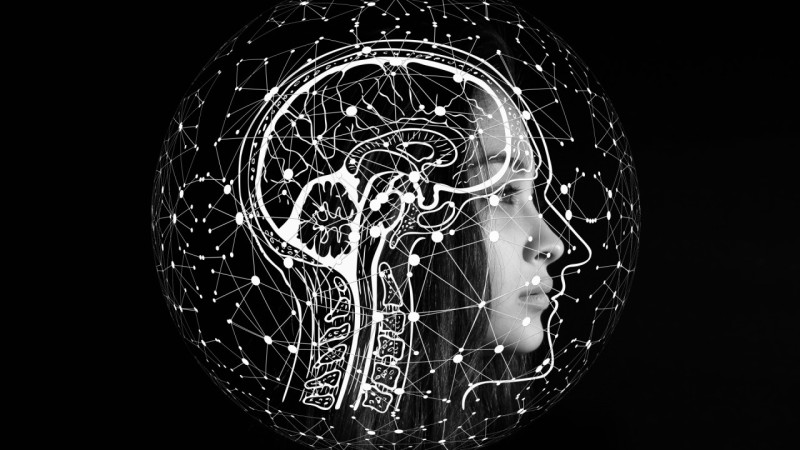 Como a Psicologia Está Transformando o RH