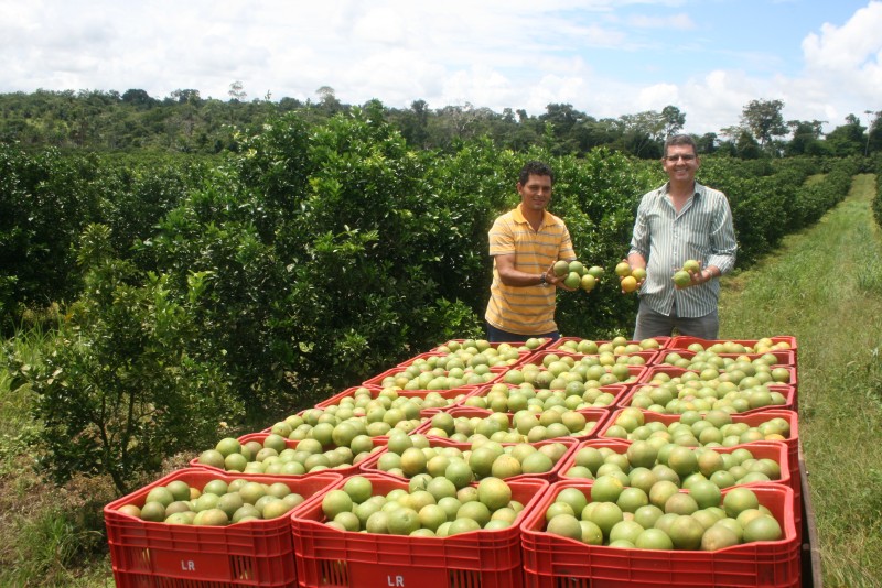 Recrutamento, Seleção & Headhunting para Fruticultura