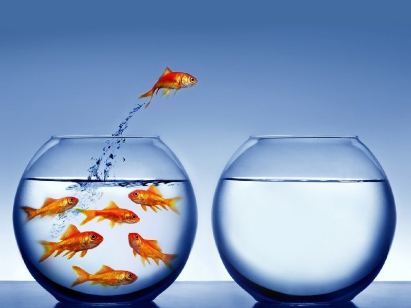 Headhunter na área da saúde: Vagas secretas do mercado de saúde