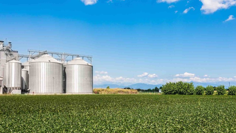 Mercados e Comercialização de Produtos Agroindustriais